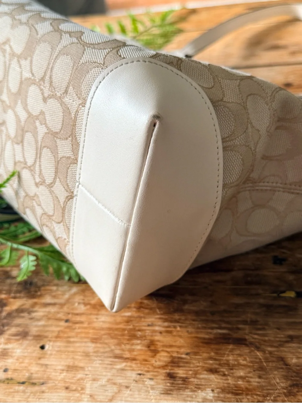 Coach light cream